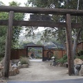 320-9884 Safari Park - Bonsai Garden